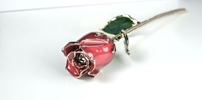 Single red gold dipped rose